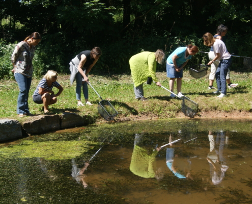 Austauschtreffen der unterfränkischen Wasser-Kitas